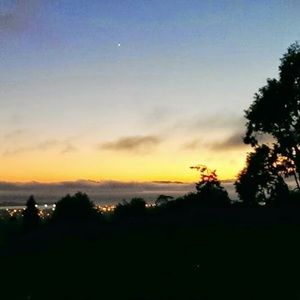 Meet your Posher, Francesca